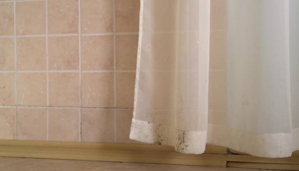 Best Airborne Mold Testing  in Lambertville, NJ