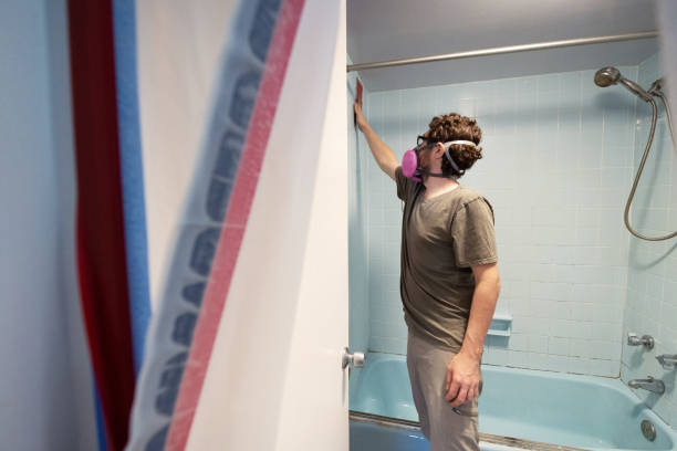 Best Mold Damage Restoration  in Lambertville, NJ