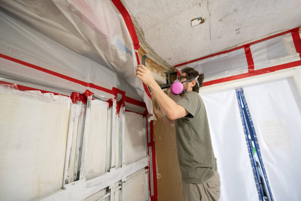 Best Biohazard Mold Removal  in Lambertville, NJ