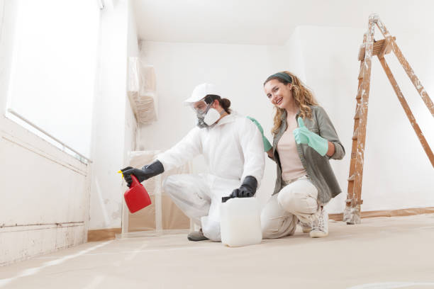  Lambertville, NJ Mold Removal Pros